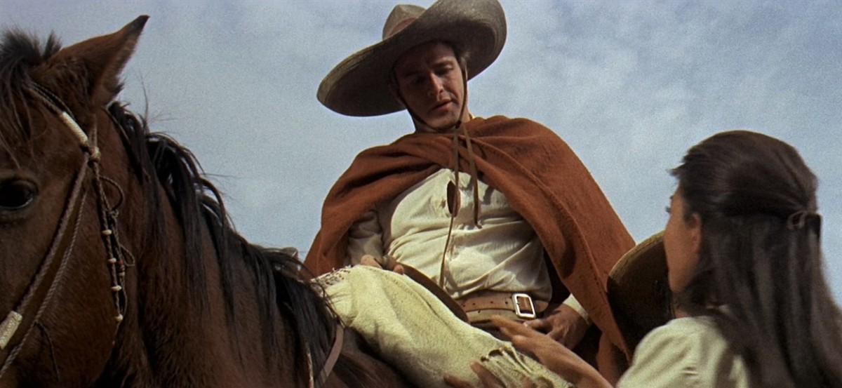 The Appaloosa: Marlon Brando is driven by atonement, pride and revenge to  reclaim the eponymous equine from John Saxon in this baroque, eccentric  Western – MANK'S MOVIE MUSINGS
